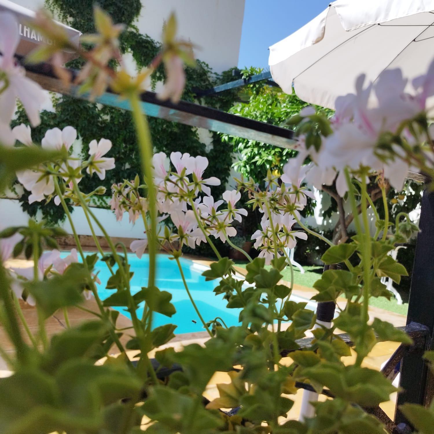 Suite Comares กรานาดา ภายนอก รูปภาพ